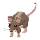 Cave Rat — in-game artwork