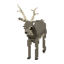 Greywood stag — in-game artwork
